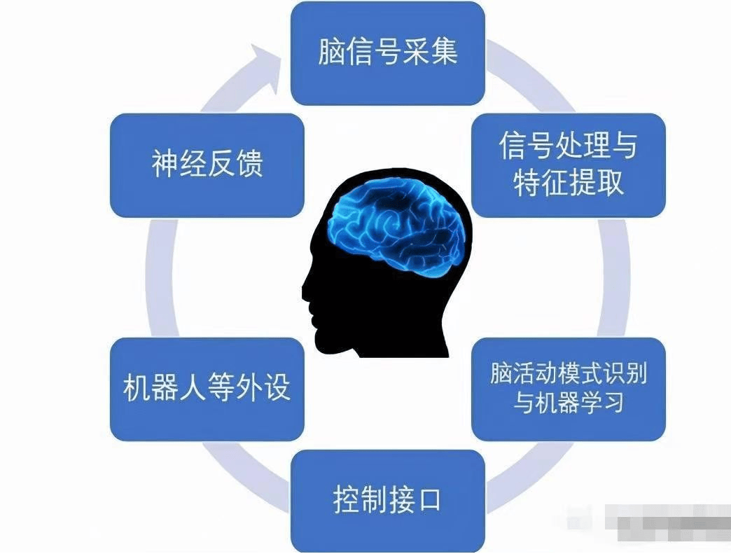 【附院科普】重塑生命的信号：脑机接口开启康复治疗新纪元